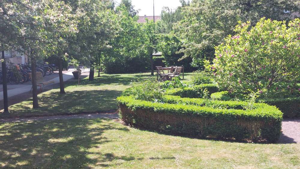 20230528_120347.jpg